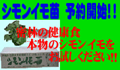 シモンイモ苗 予約開始