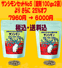 新キャンペーン　セット５番