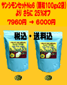 新キャンペーン セット6番